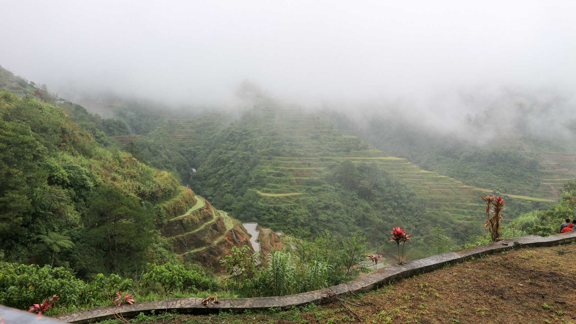 A path winding between green rice terraces and forest in the Cordillera mountains near Banaue